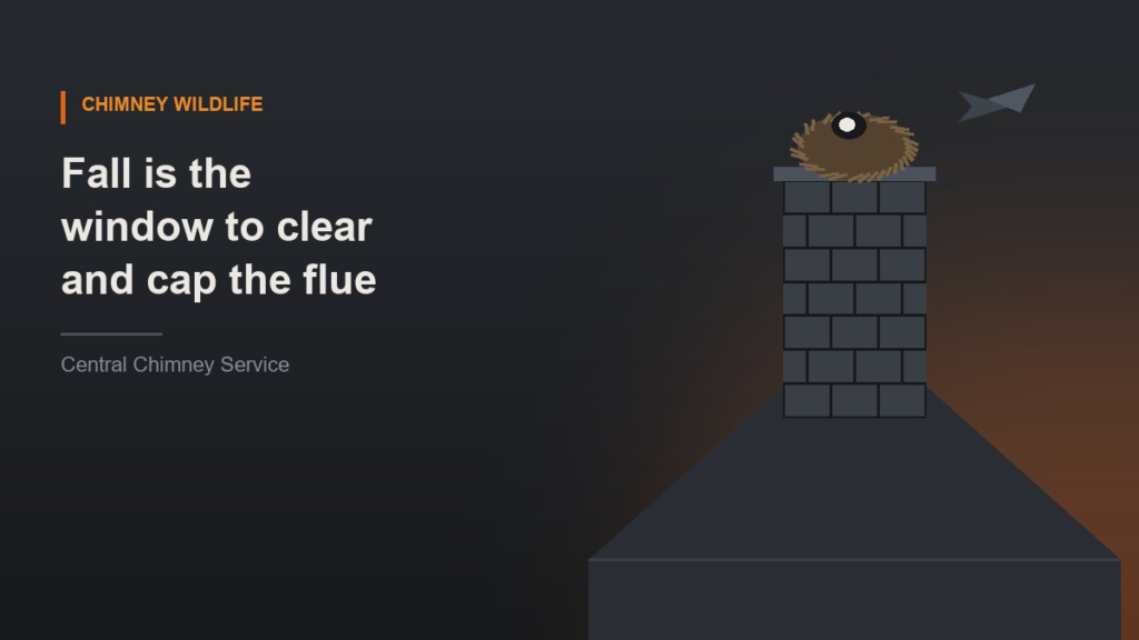 Illustration of a twig nest on top of an uncapped brick chimney with a bird in flight